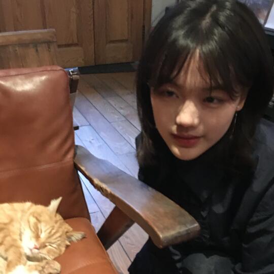 小猫放屁导致全球变暖