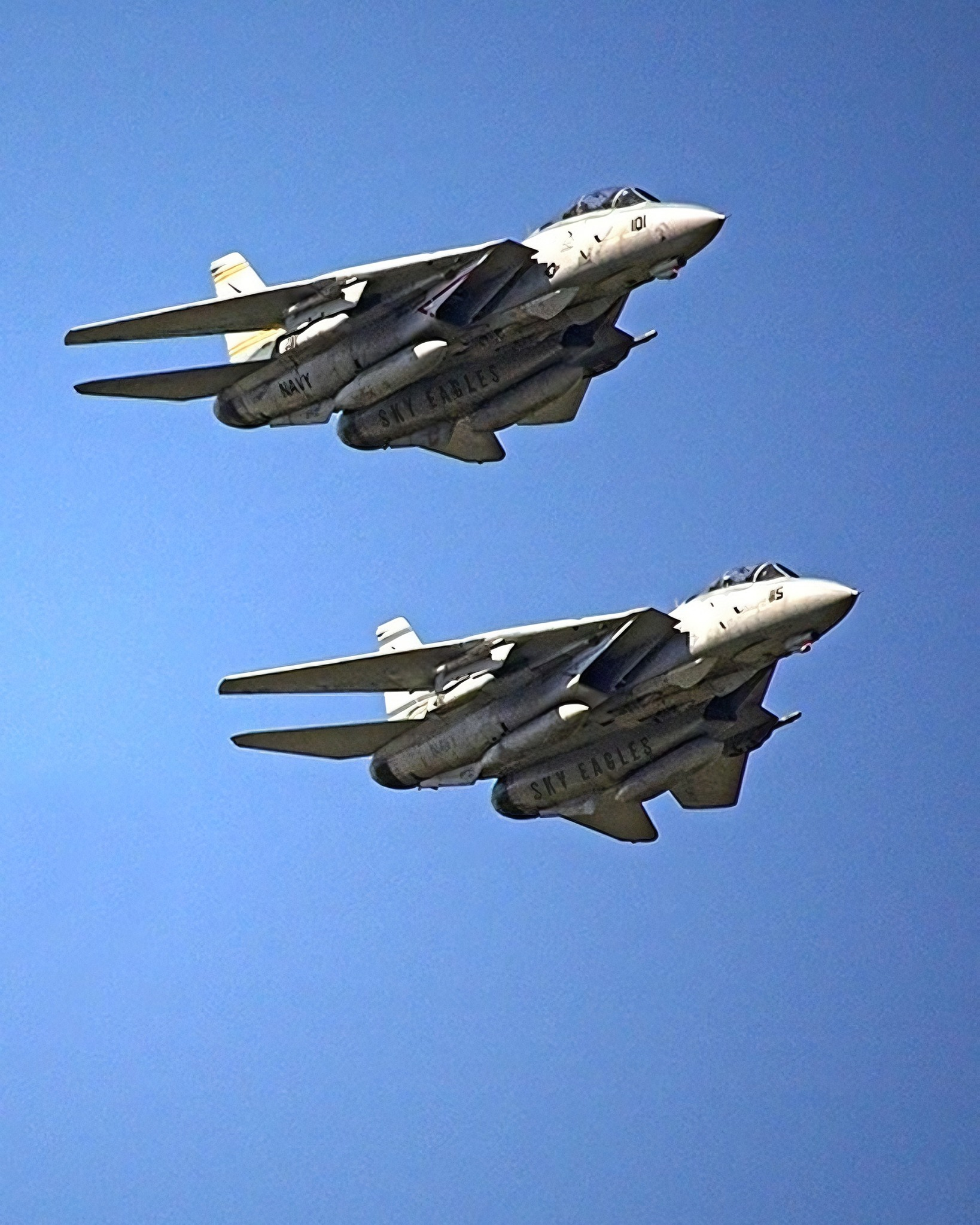 猫宁。F-14大猫双机编队 ​​​