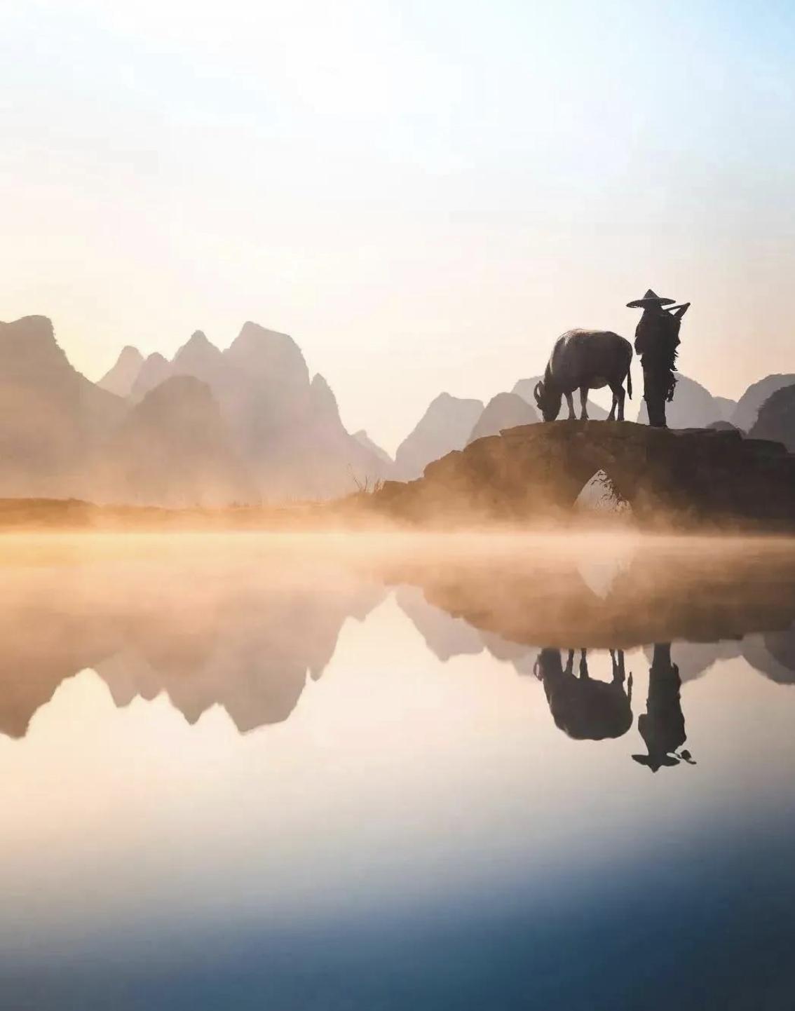 人生是一段由无数关系交织成的旅程，亲情与友情如同并蒂双生花，在灵魂深处绽放出不同