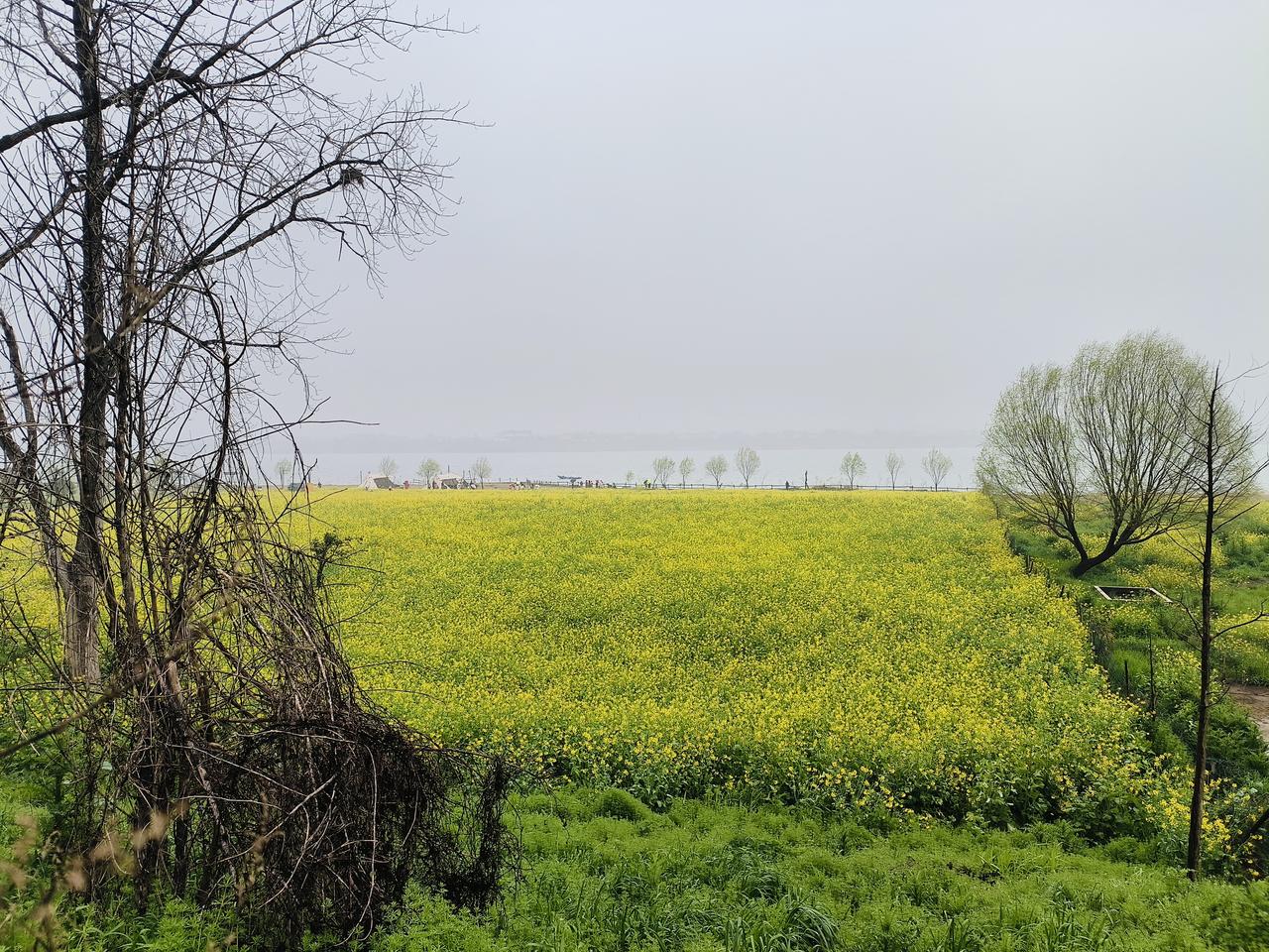 春雨润城！长沙将迎持续阴雨天气 3月23日有中到大雨
 
2026年3月17日，