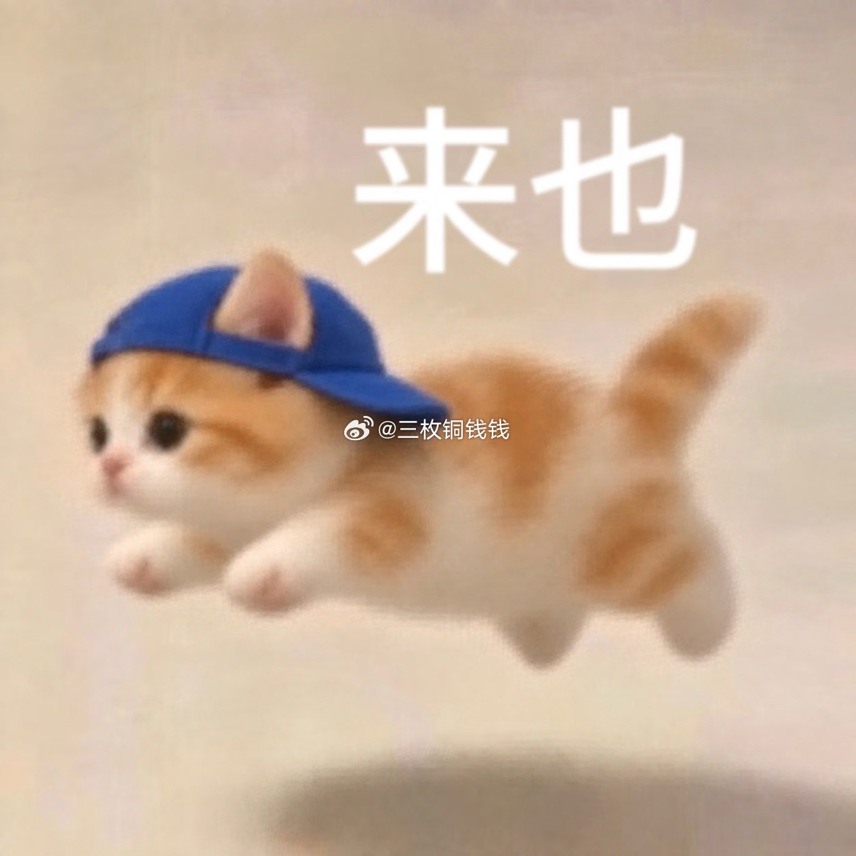紫微斗数  容易被人欺负的主星😡（落入命宫或者迁移宫，如果落官禄宫在职场中容易