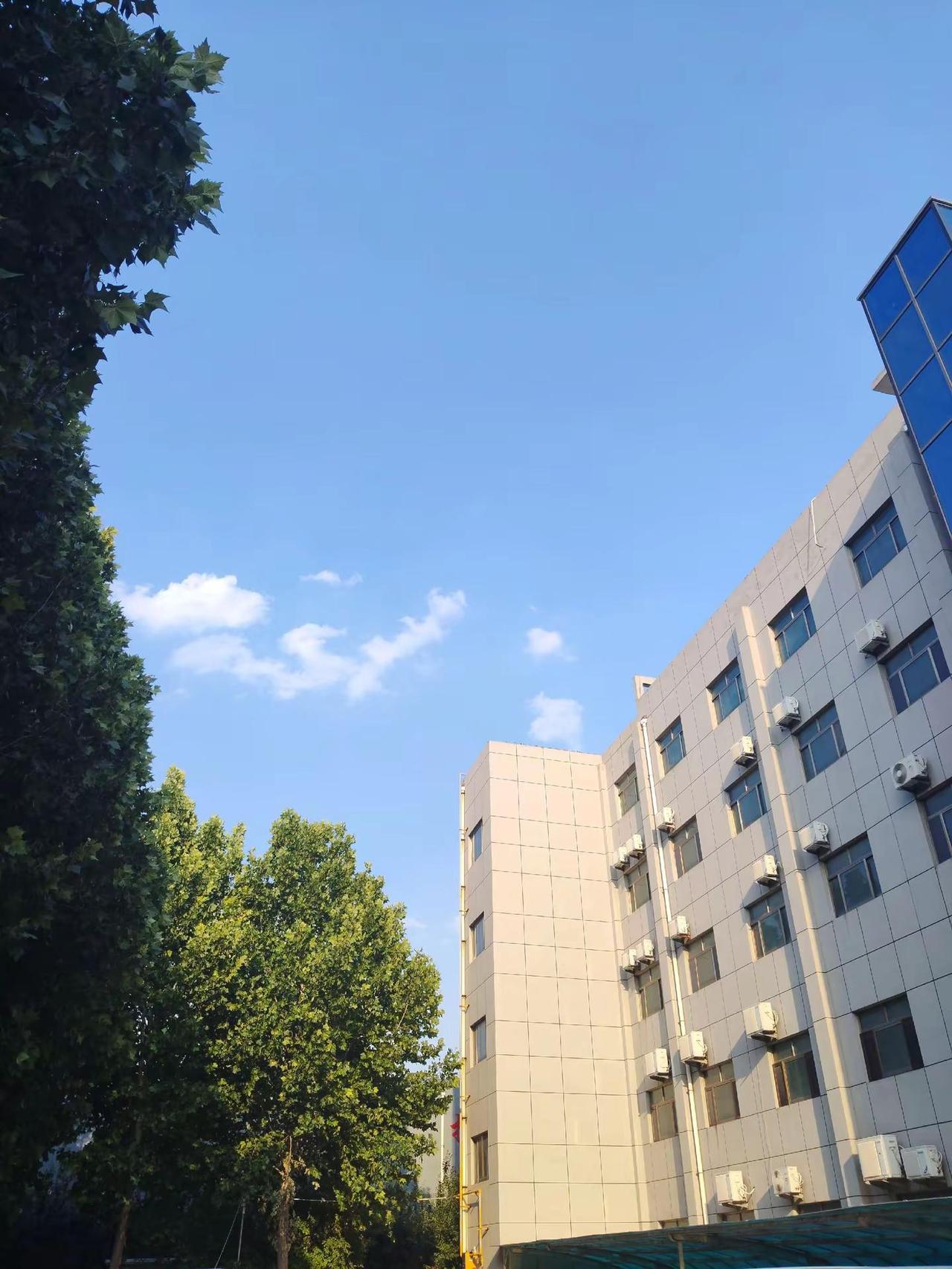 风景优美空气新鲜 城市一交的风景