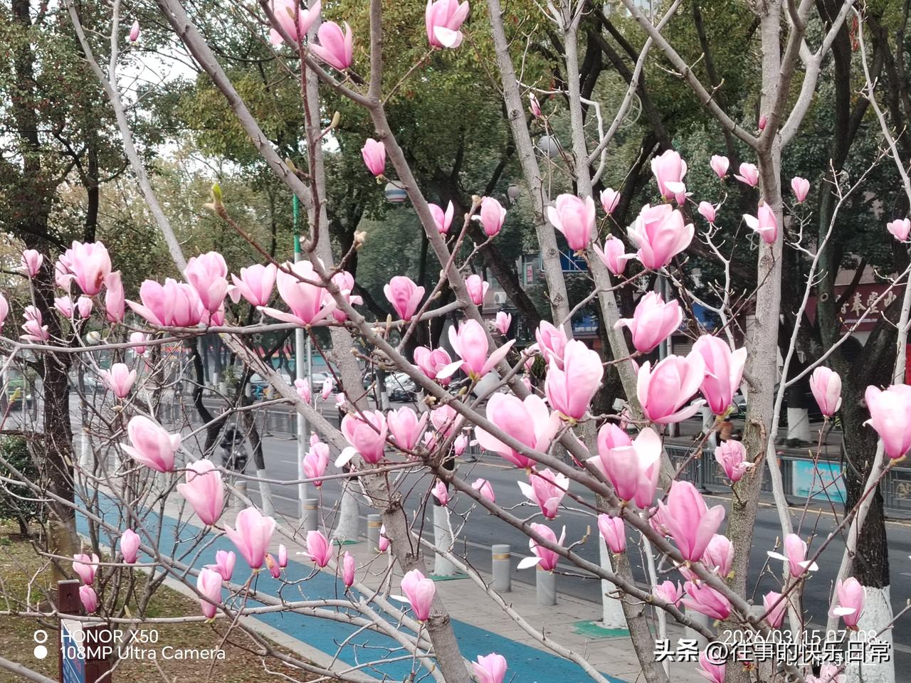 未来三周油价真会飙升吗不会飙升