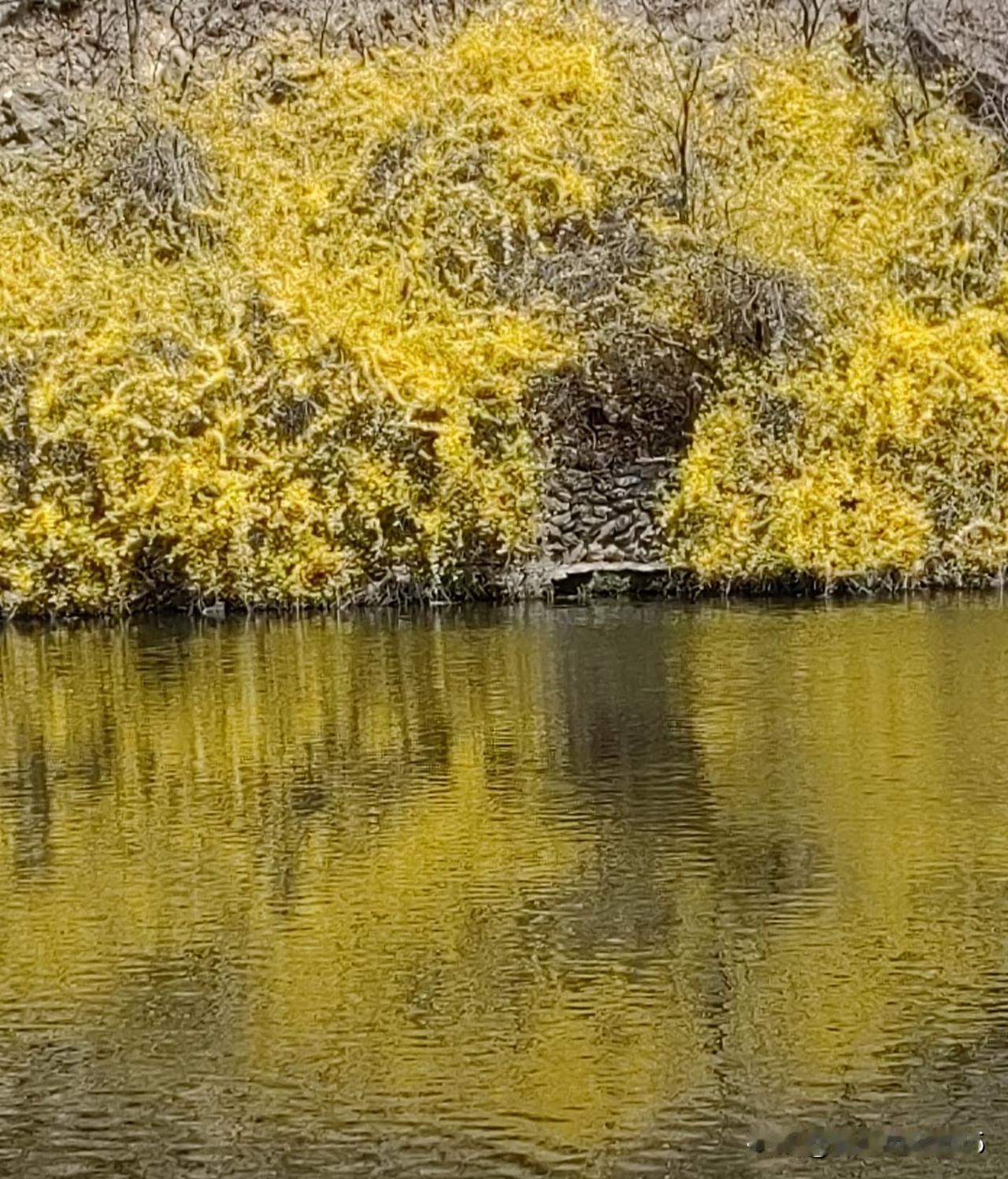 天很蓝，水很清，
风很软，阳光暖。
有热爱可奔赴，
有温暖可依靠。

路中景，碗