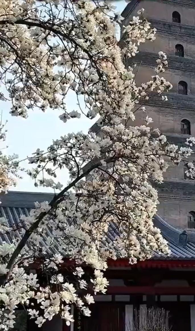 新的一天我的心願：
心向光明彼此照亮。
世界和平國泰民安，
每個家庭幸福美滿，