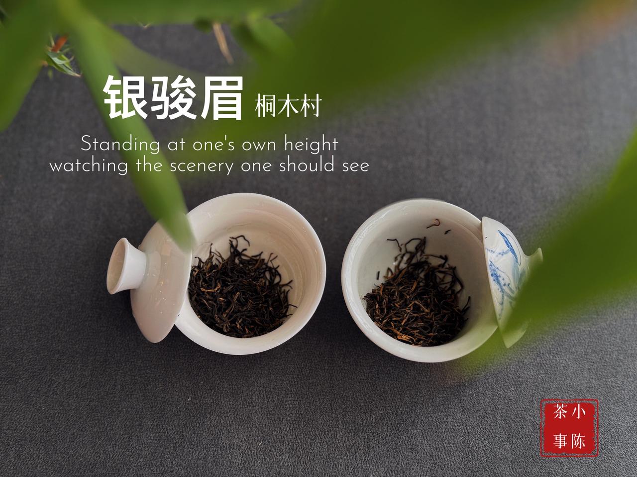 茶叶千万别随便放！再好的茶，放久全浪费！
不管是绿茶、红茶、还是白茶、乌龙茶，存