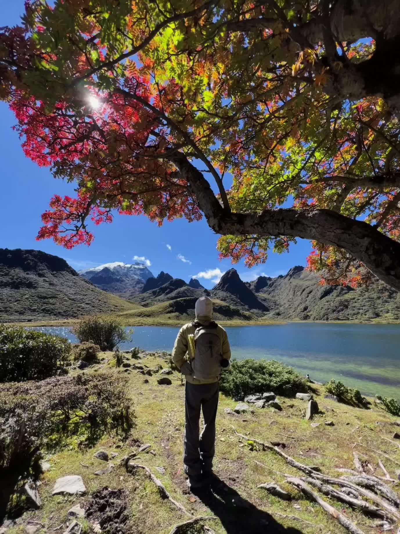 最新消息：“南极洛”8月解封无望，有行程的可以考虑一下哈巴黑海或者老药山。