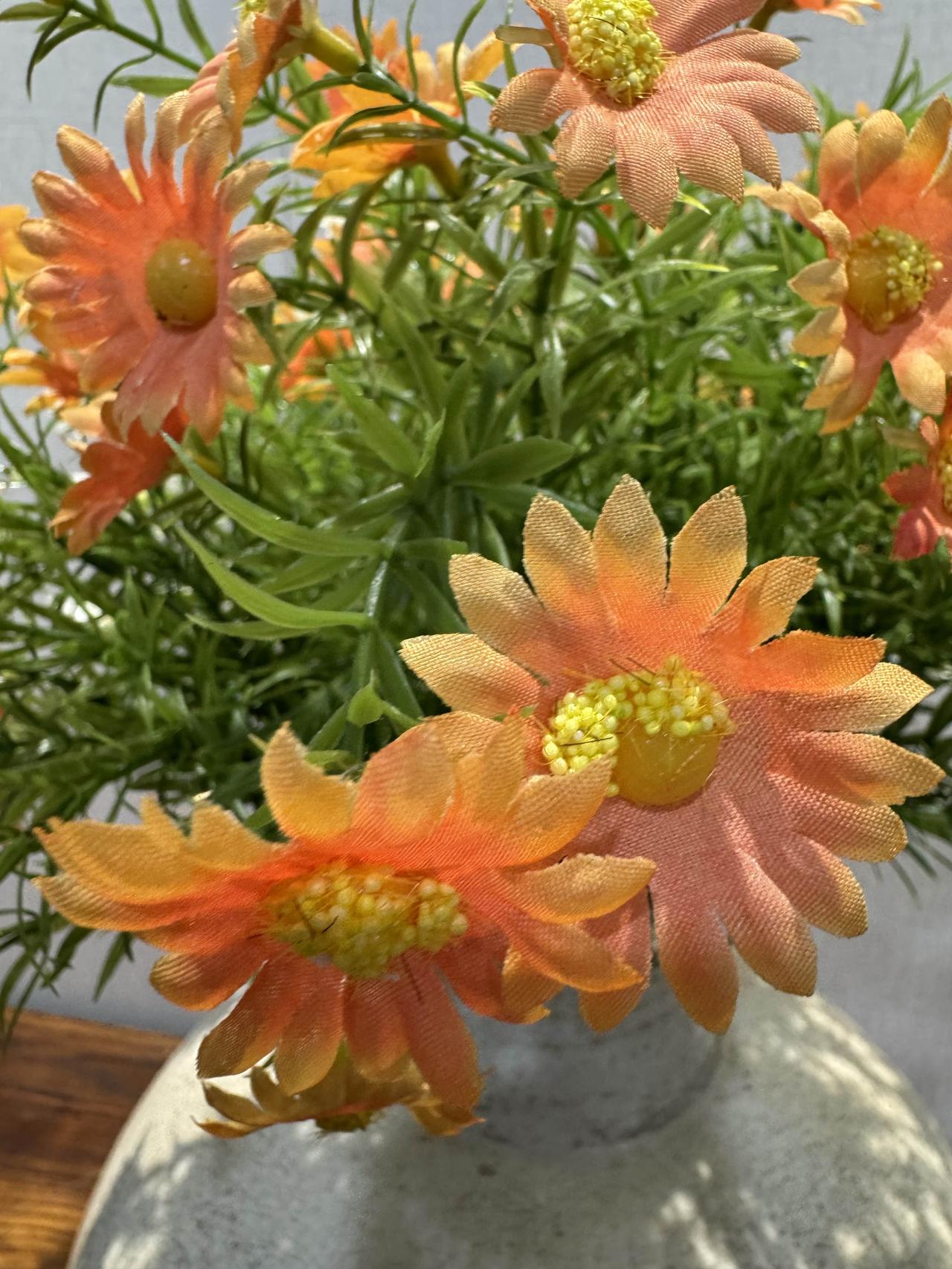 晒一张你拍的花瓶花