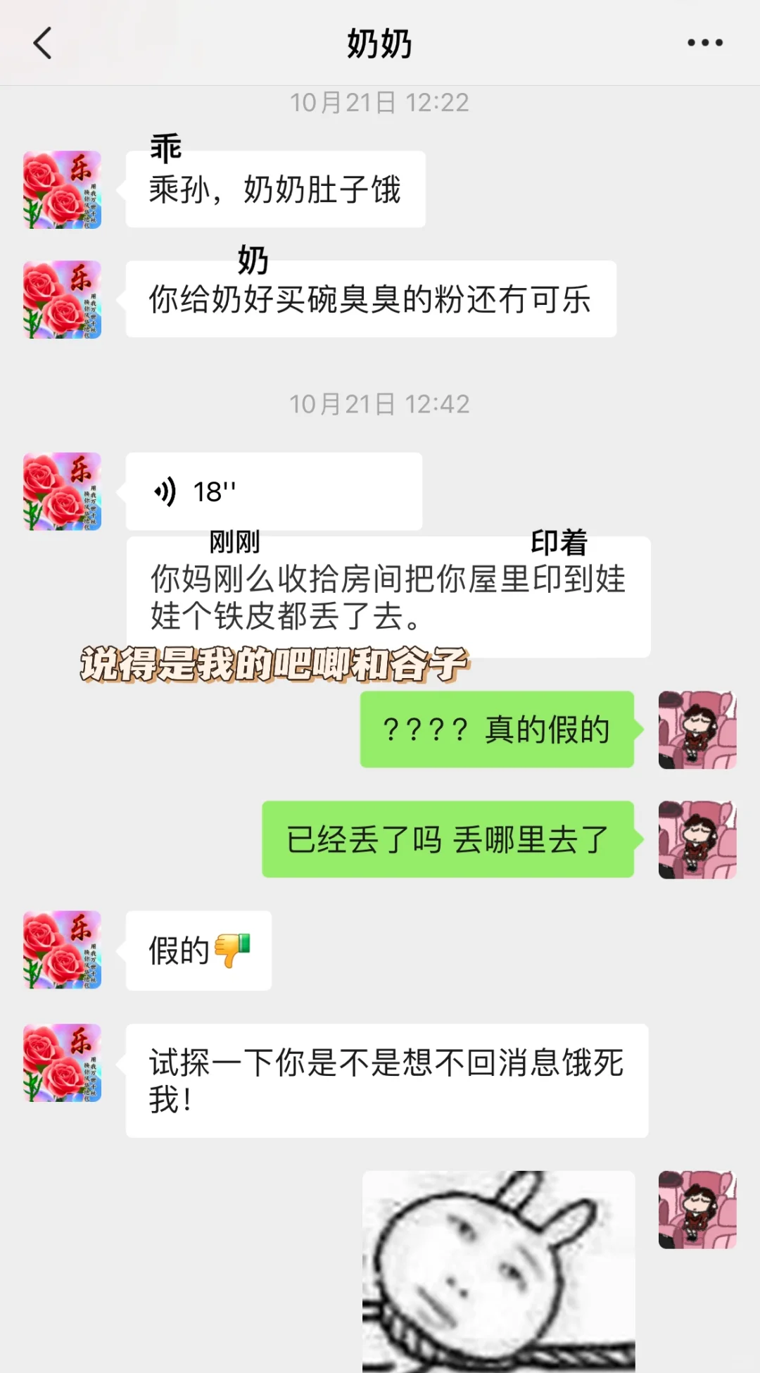 《我那叛逆期的网瘾奶奶》