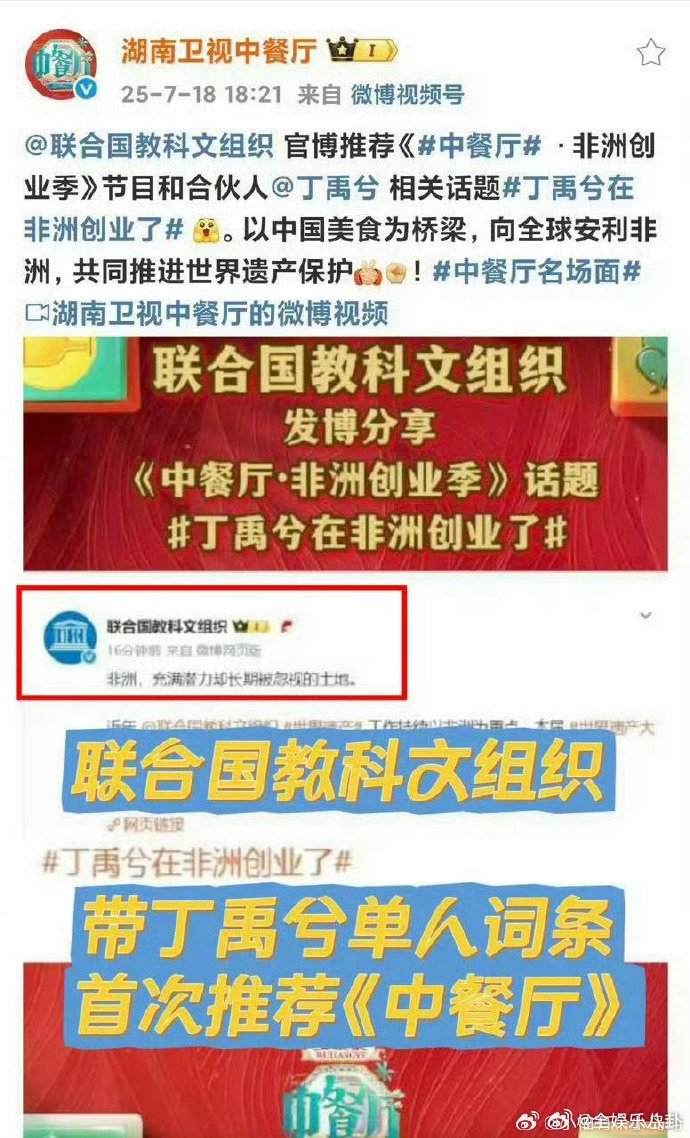 为传播中华文化的他们加油点赞 联合国教科文组织推荐丁禹兮话题 中餐厅丁禹兮的非洲