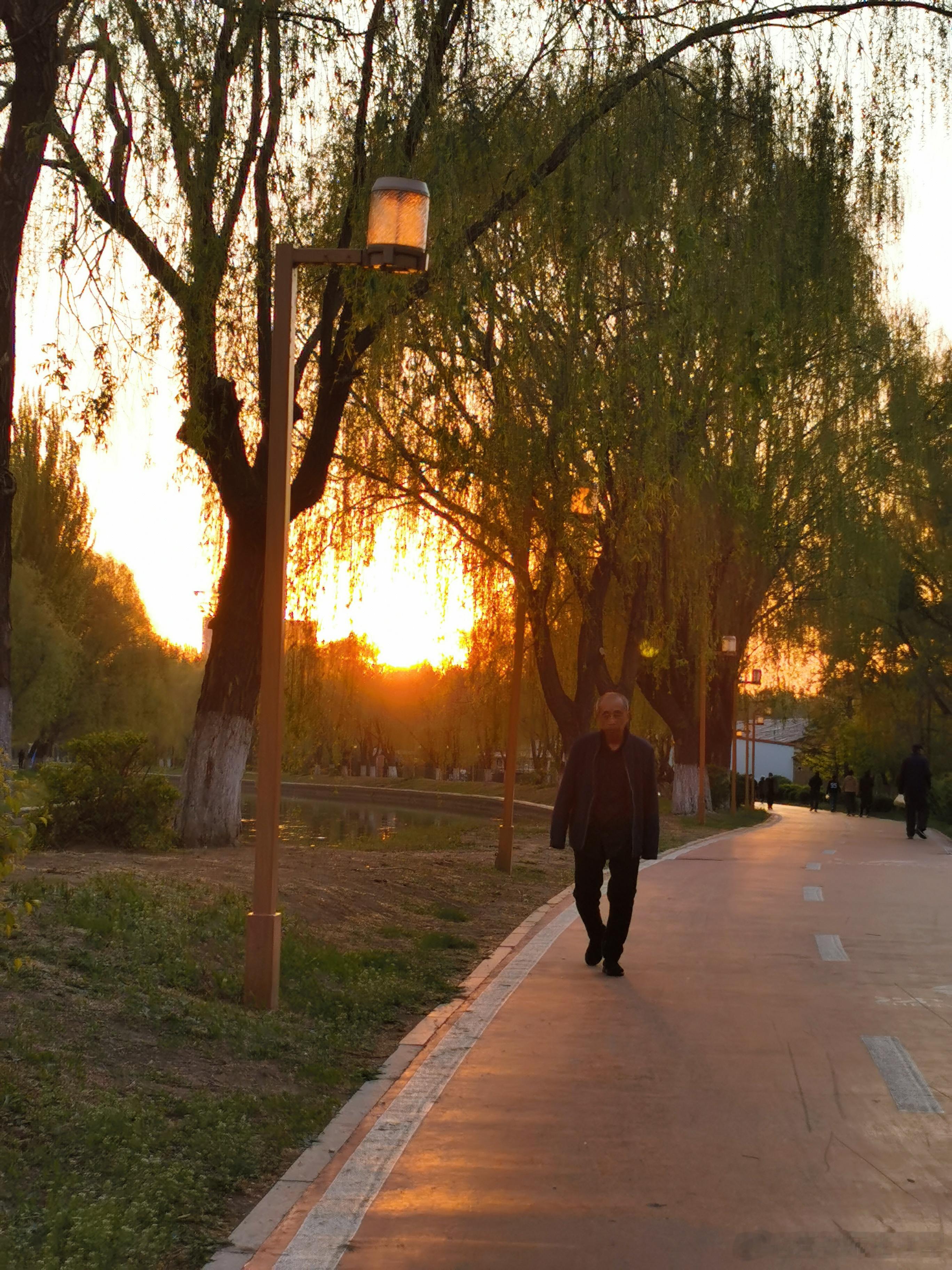 #随手拍春天##落日# 河边落日🌇 ​​​