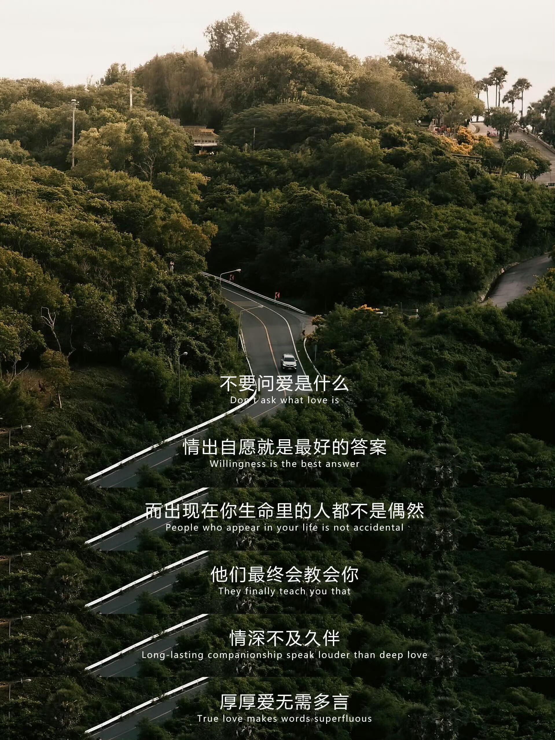 不要试图在任何人身上，去找安全感和归属感 