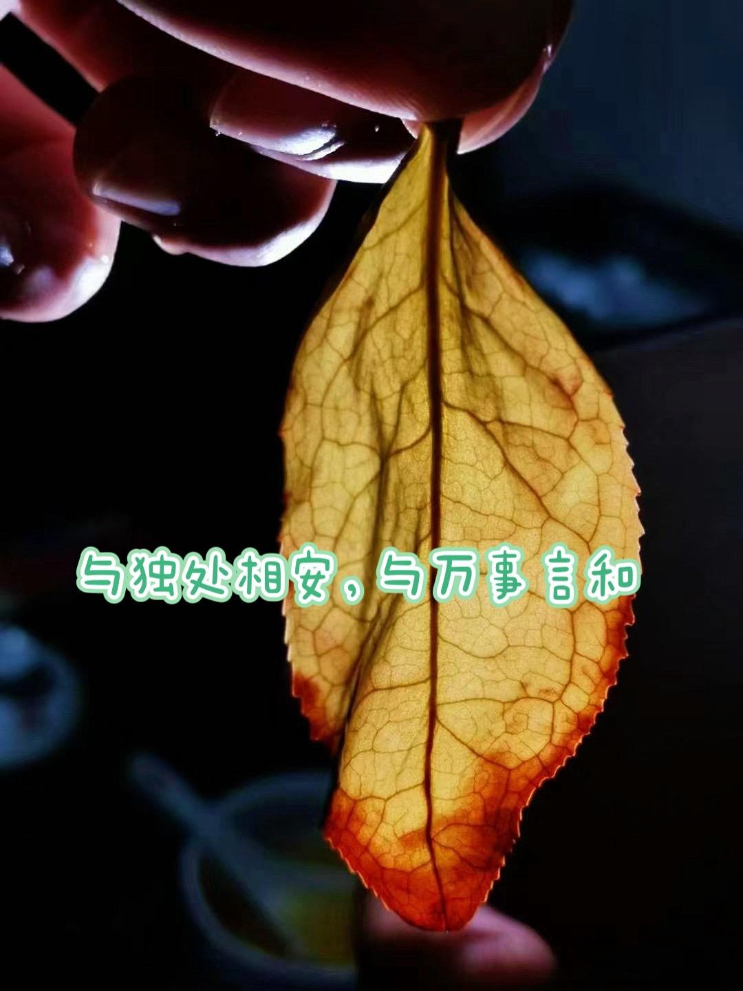 我从不是八面玲珑的人，也学不会讨好所有人。
往后余生，只守一份属于自己的安稳烟火