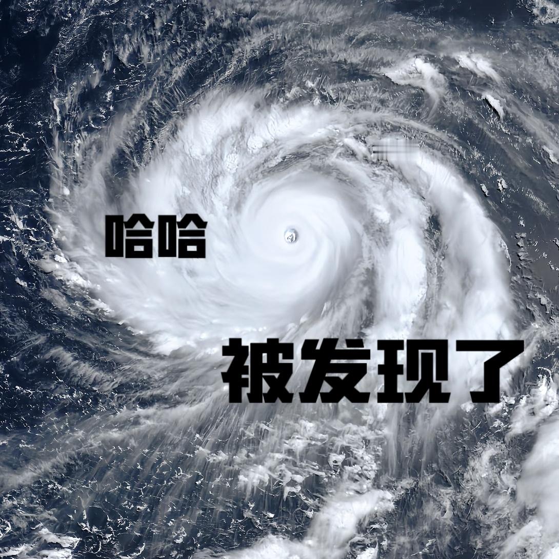 【台风未到，海水先知？科学家把风暴潮“看穿”了】台风来袭时，最危险的不一定是狂风