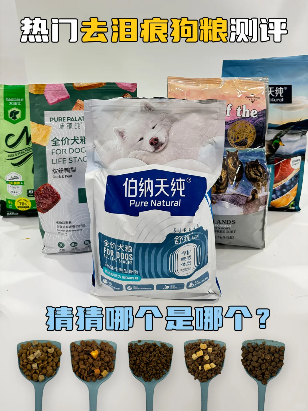 热门去泪痕狗粮测评 一篇笔记告诉你谁是ace