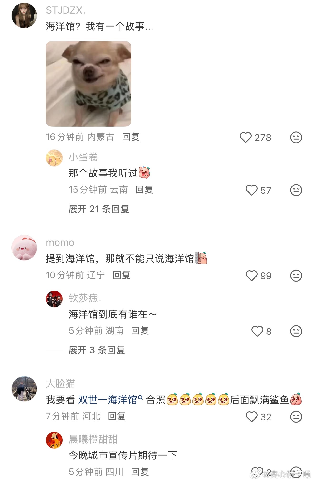 城市照海洋馆🥁城市照海洋馆🥁城市照海洋馆🥁城市照海洋馆🥁城市照海洋馆🥁