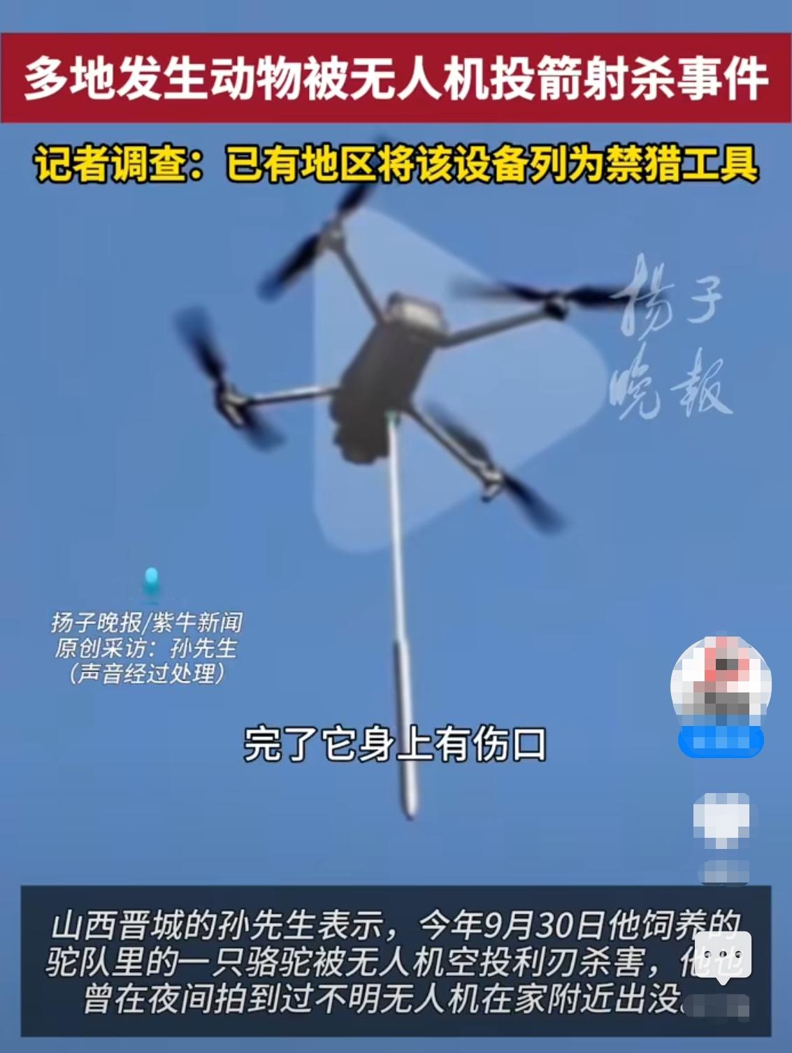国内无人机闯祸了！

近日，有位山西吕梁的网友在网络媒体发布视频称，他自己养的马