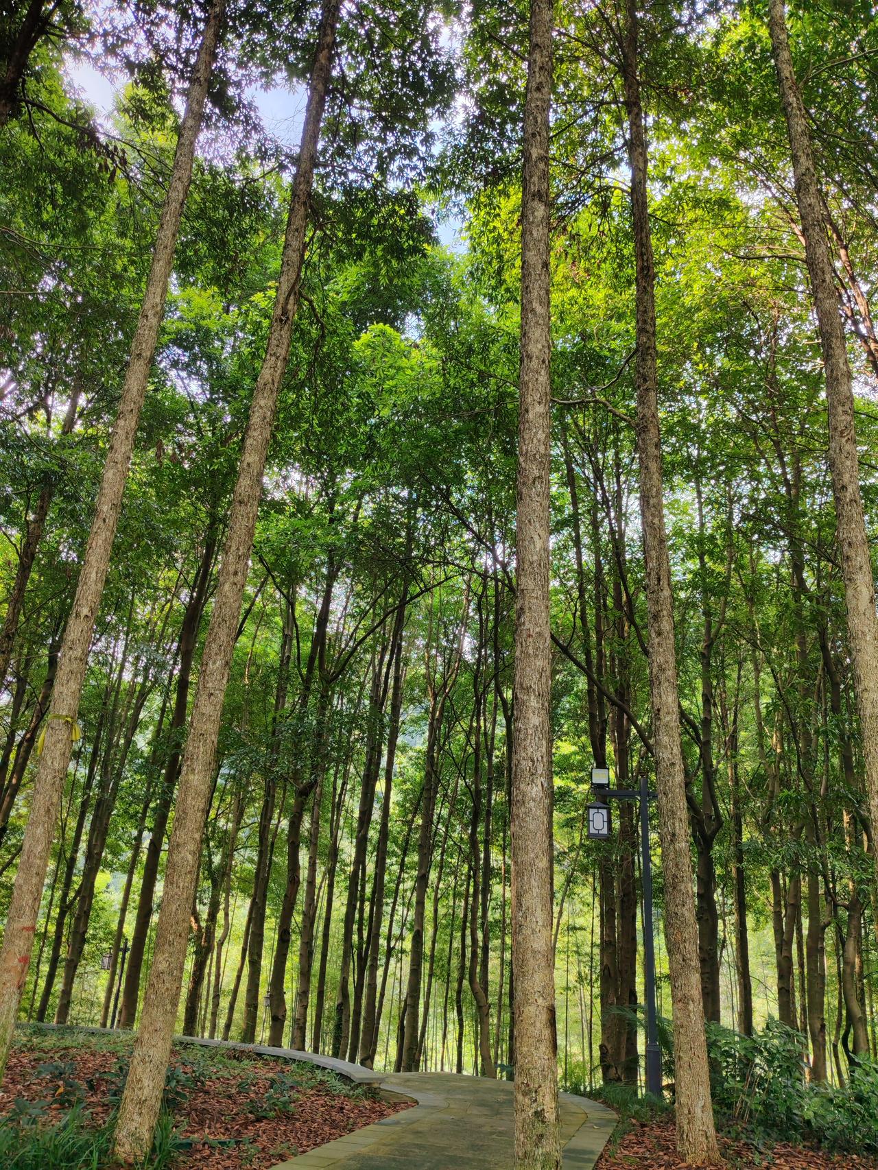 分享我从股市悟到的启示。有人亏光3个账户后总结出4个底层逻辑，其中首要的是尊重市