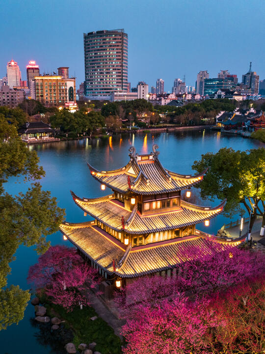 炸鸡提醒❗️夜赏月湖超然阁梅花，太惊艳了