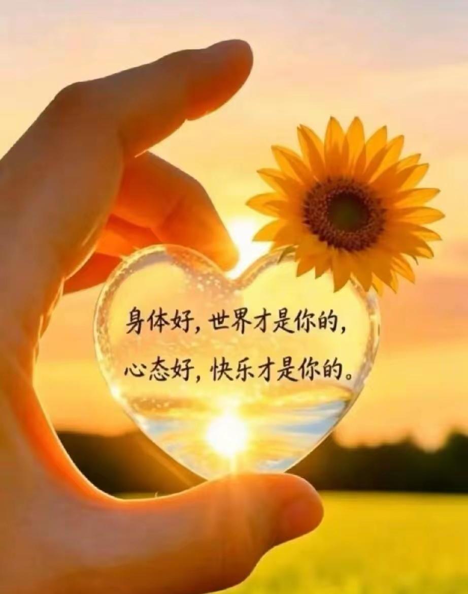 活出自己的精彩

[玫瑰][心][玫瑰]

抛开钱不谈，现在最需要的是内心的宁静