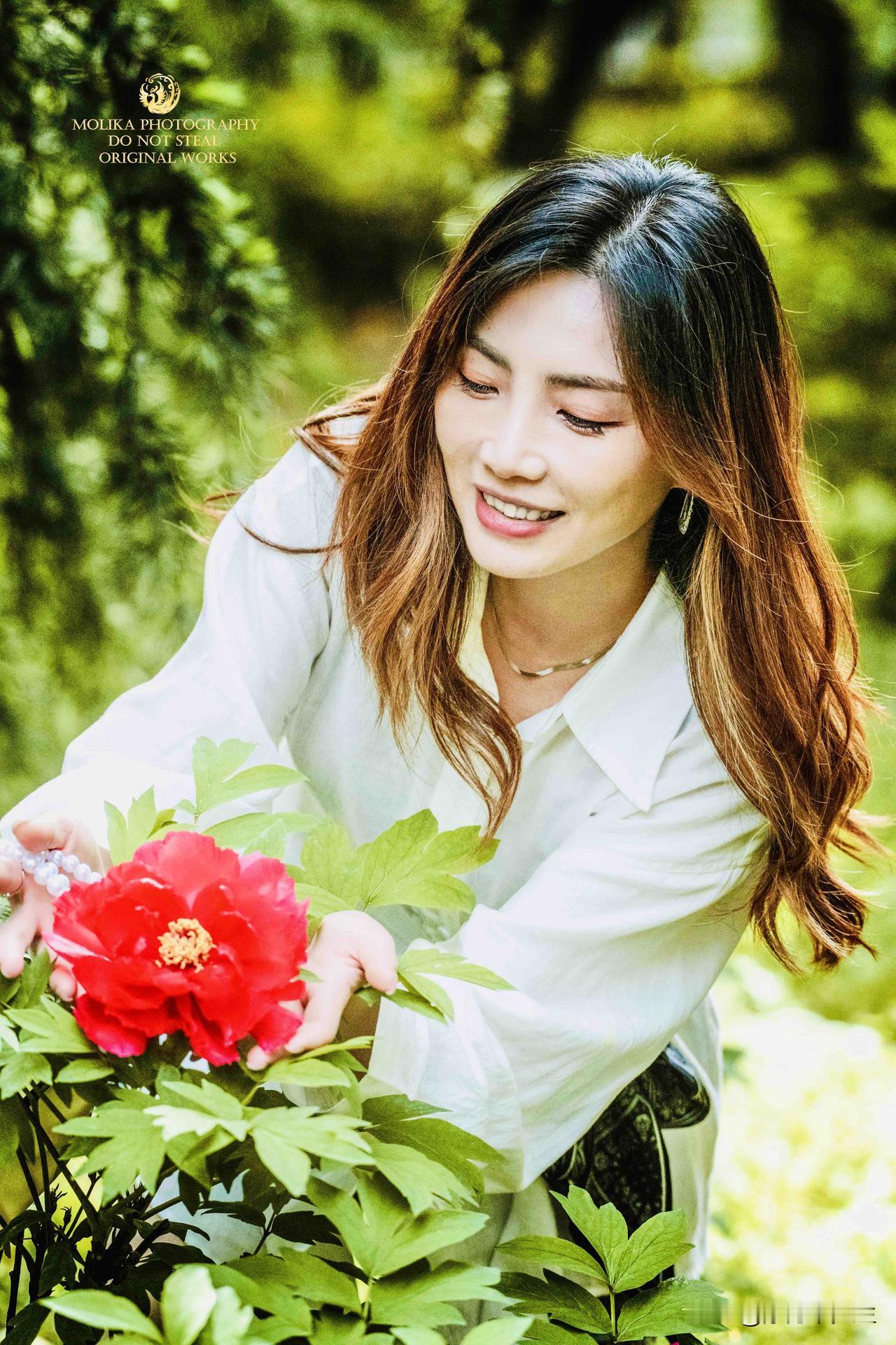 春日的风拂过肩头，邂逅一朵盛开的红牡丹。白衣胜雪，花红似火，把春天的温柔与热烈，