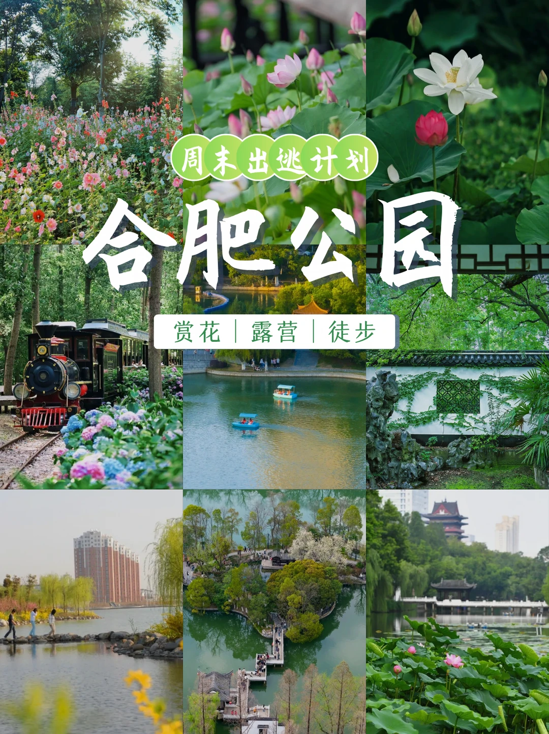 合肥周末出逃计划｜免费公园清单