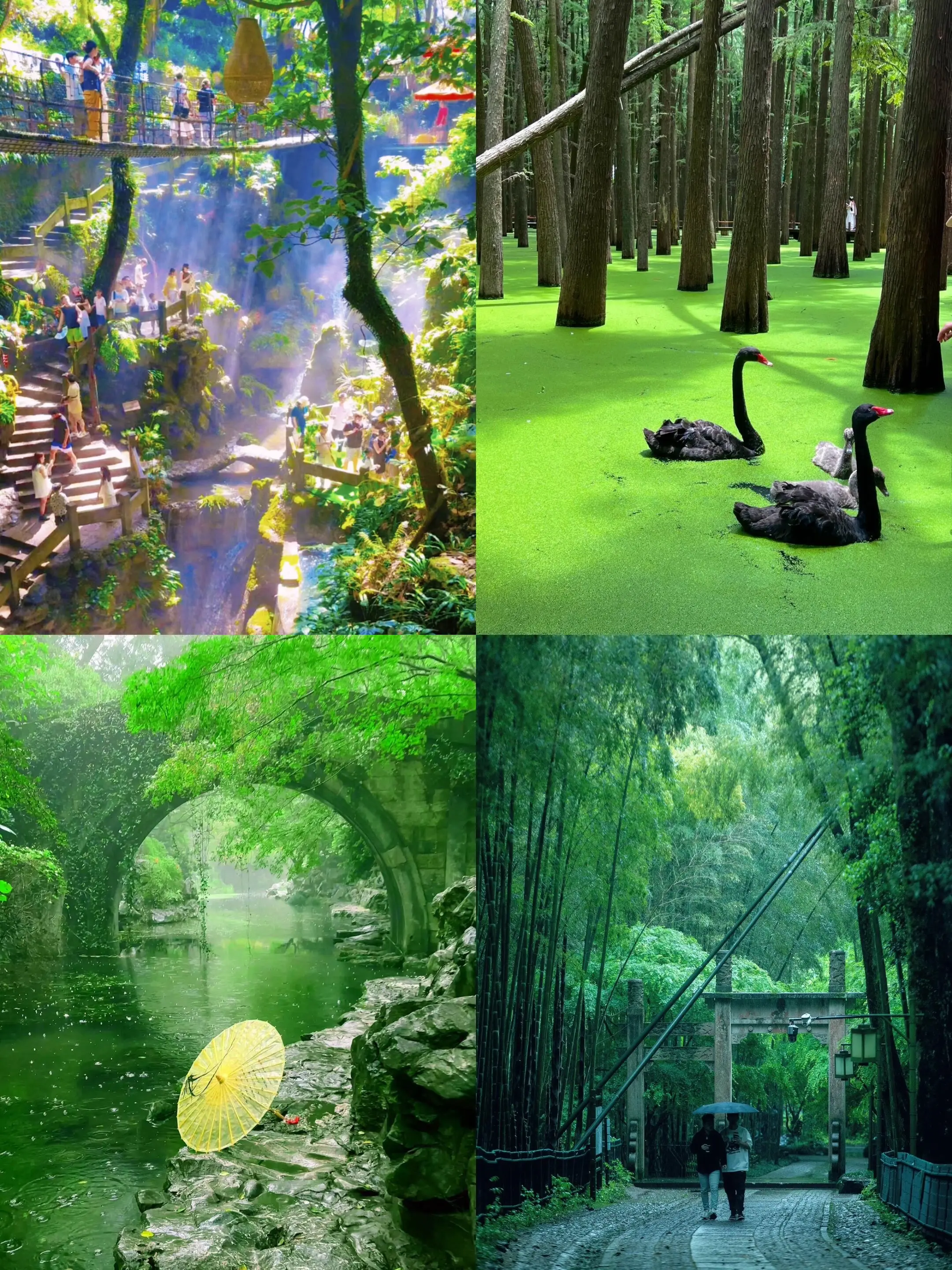 我在杭州找到了现实版的绿野仙踪.