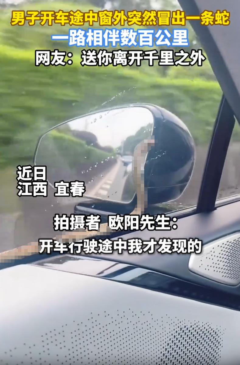江西宜春，男子开车出远门，途中用余光发现窗户外好像有什么东西在动，扭头一看竟然是