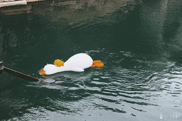 沈月撞档沈月 背《岳阳楼记》的名场面，沈月的反应太真实，直接戳中我的笑点！ 