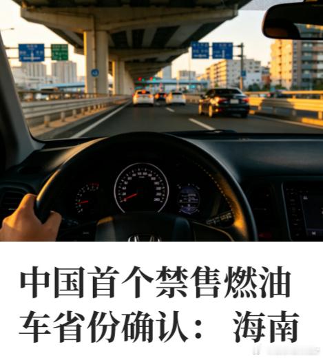 还好分两步，2025年先搞公交出租公务，2030才禁私家车，给了十多年缓冲，刚提