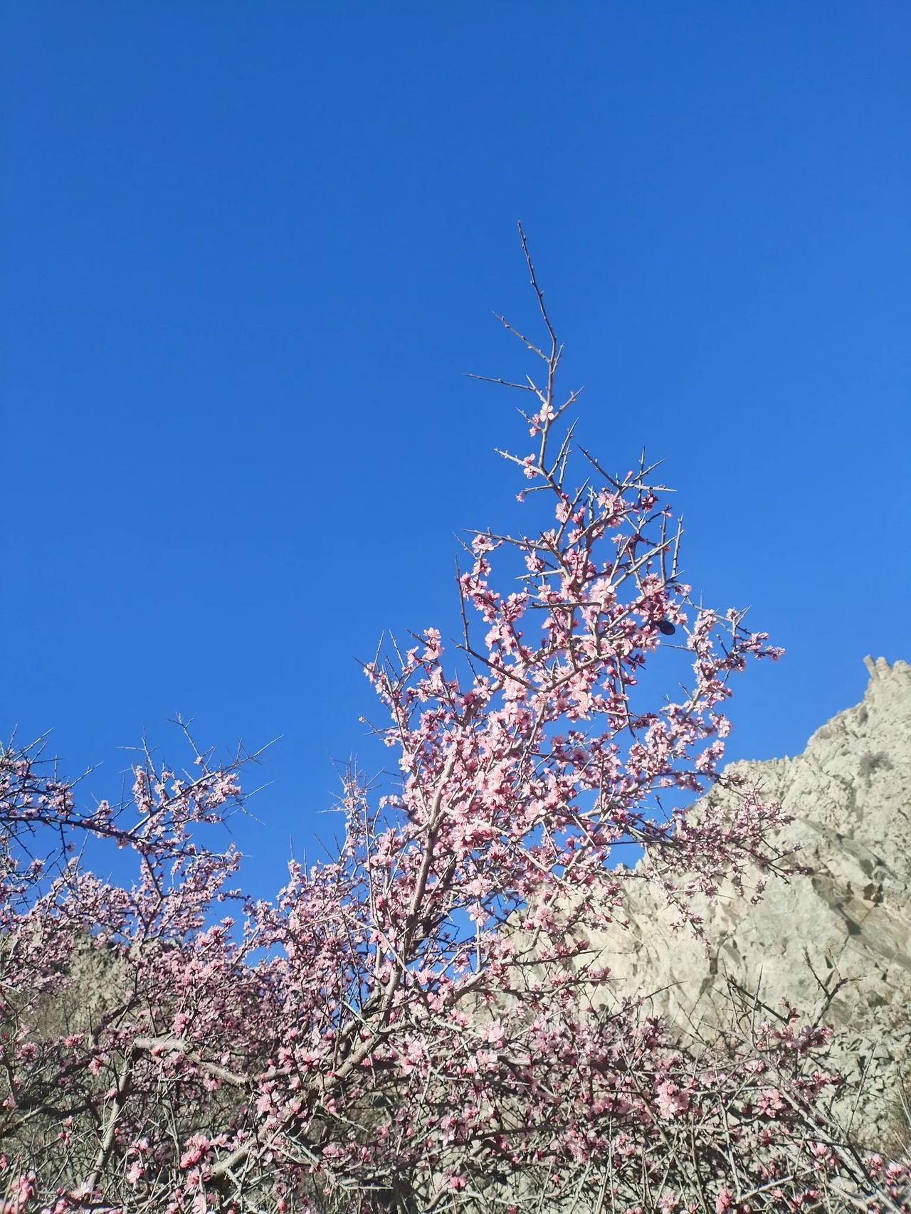 时间，无尽的时间
沉重，深邃，
我将等待你，
直至万籁俱寂。

直至一块石头碎裂
