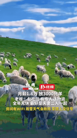 放3000只羊，月薪1.6万，年薪19.2万，看起来还可观，最开始还有网友蠢蠢欲
