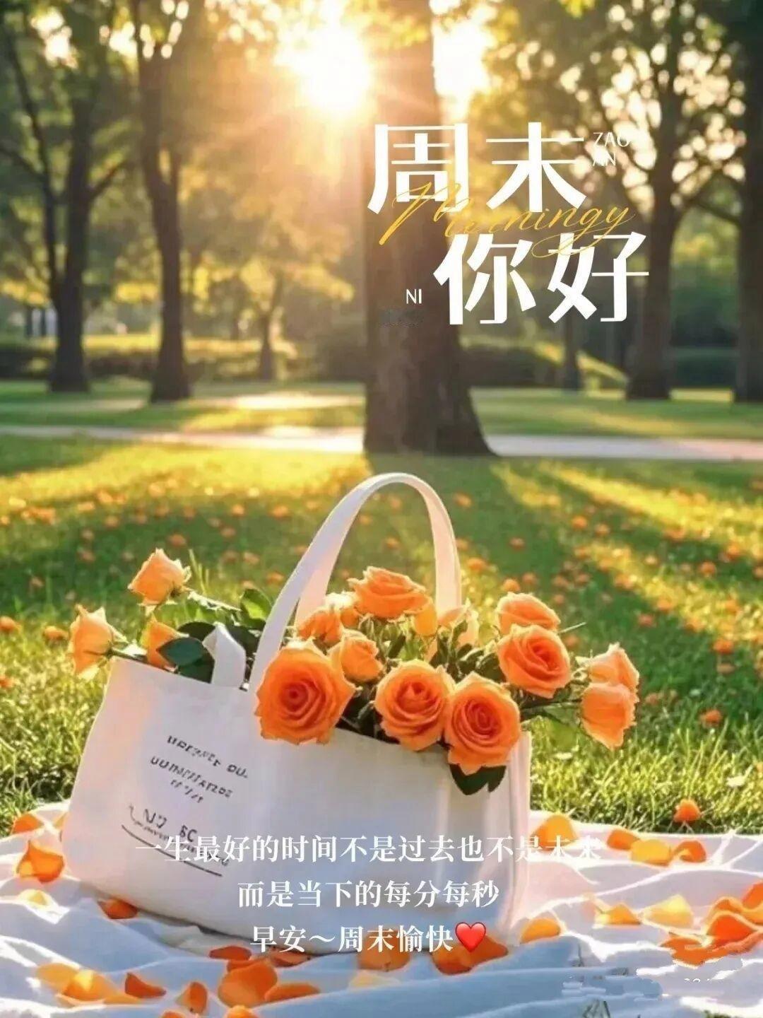 早安 把烦恼丢在昨天，把微笑留给今天；愿你心情愉悦，福气满满；去看一场花开，别急