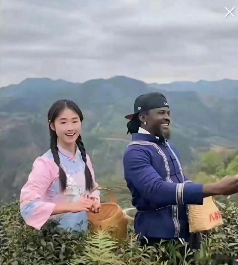 一边是大声说，是外国间谍偷窃中国茶叶机密，一边又宣传，可溯到三国的紫茶之乡，外男