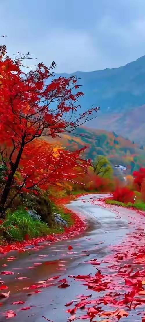 父母的朋友圈，藏着多少说不出口的爱？

你有没有发现，父母的朋友圈总是与众不同？