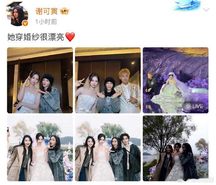 谢可寅你根本没喝中药“她穿婚纱很漂亮 ​”谢可寅你这个文案对吗[捂嘴哭]谁把谢可