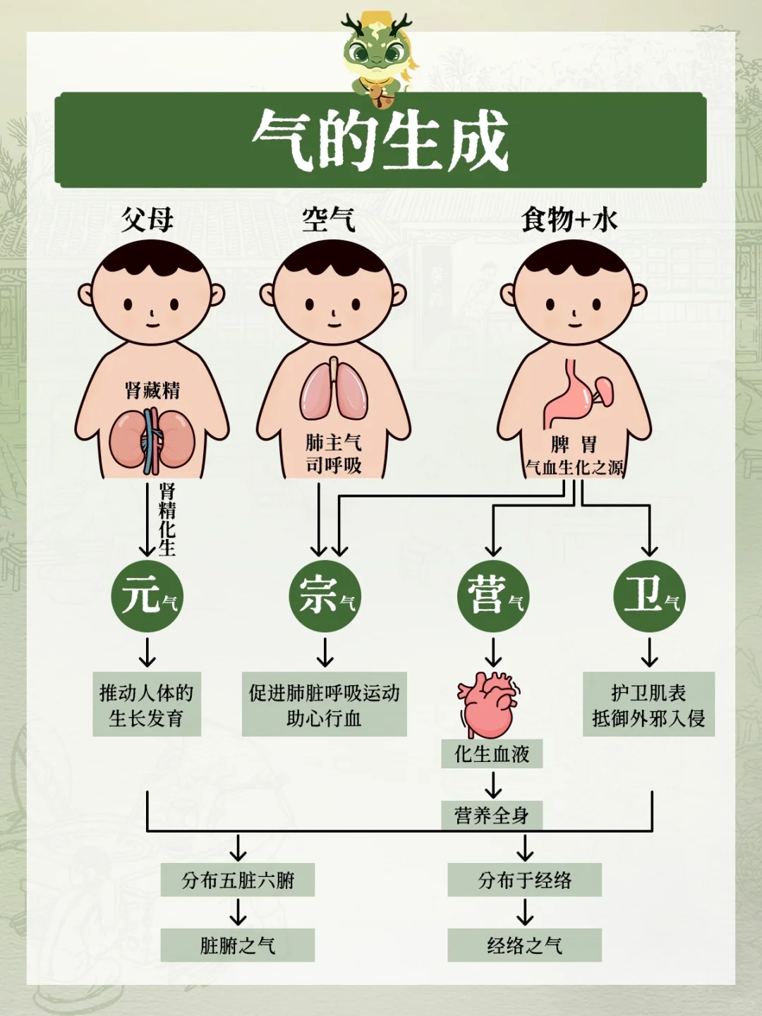 🔴深扒人体中的气💨建议你赶紧看看