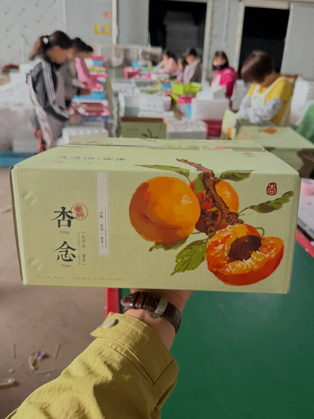10多块钱一箱顺丰包邮，不甜包赔，去哪里找！
