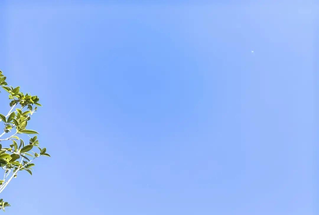 刷到一份《出色老公10条标准》的打分表，我差点笑出声。
情绪稳定加5分，主动洗碗