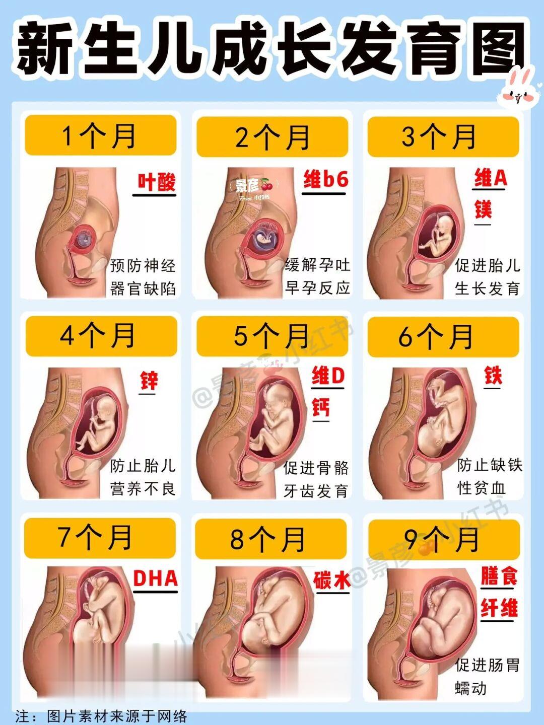 金牌月嫂笔记：0-12月新生儿每月注意事项