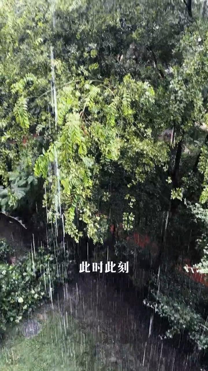 今天天漏了吗？大学城暴雨如注。
这是天漏了吗？此时此刻重庆大学城暴雨如注，这应该