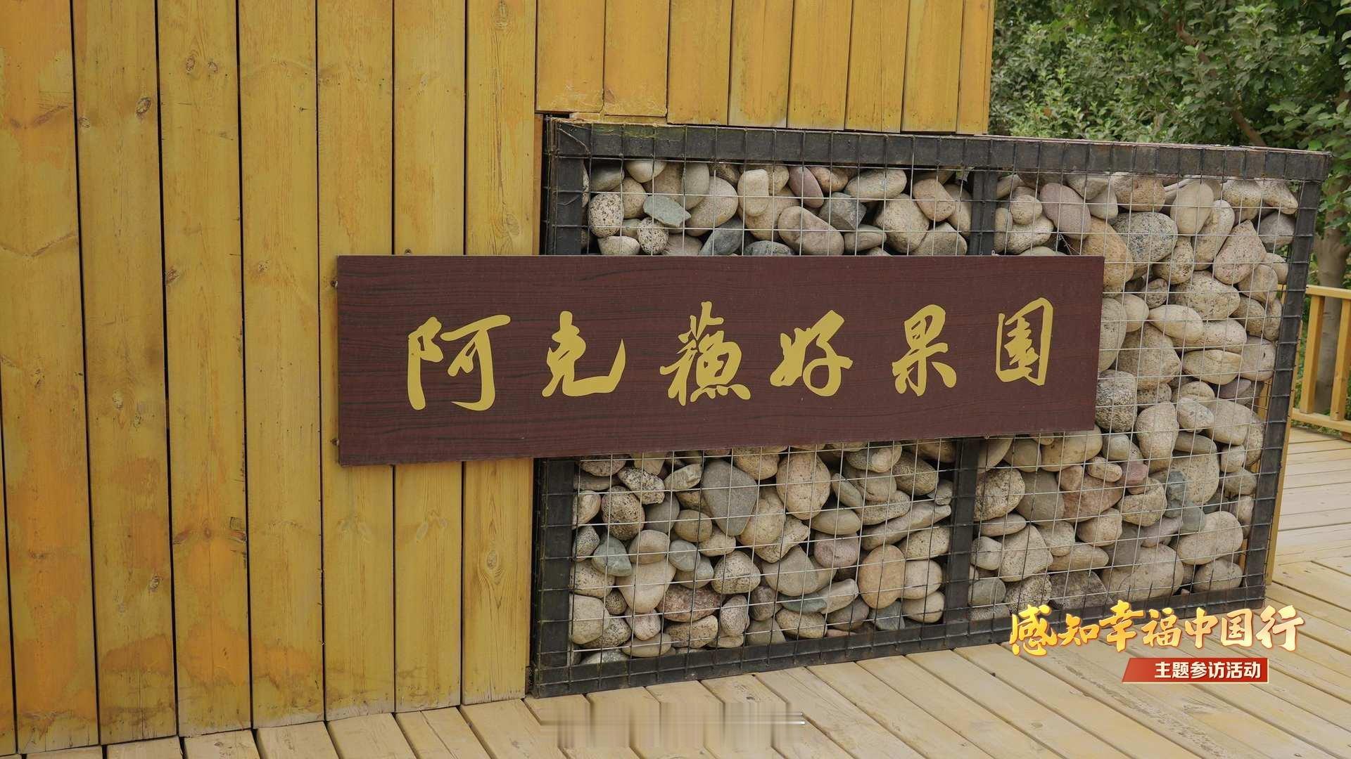 感知幸福中国新疆行参访阿克苏市电商产业园 促进了脱贫攻坚和乡村振兴。2022年援