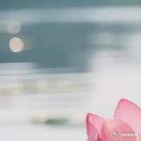 生活手记❥🫧 𝐘𝐞𝐞𝐞𝐞𝐞✌︎𓂃꙳⋆🍧平凡日子虽有琐碎，热爱总