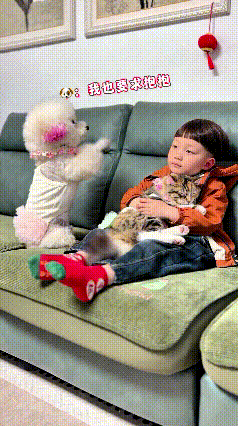 小家伙放学往沙发一躺，抱着小猫舒舒服服看电视。一旁小狗瞅着眼馋，不停作揖撒娇，也