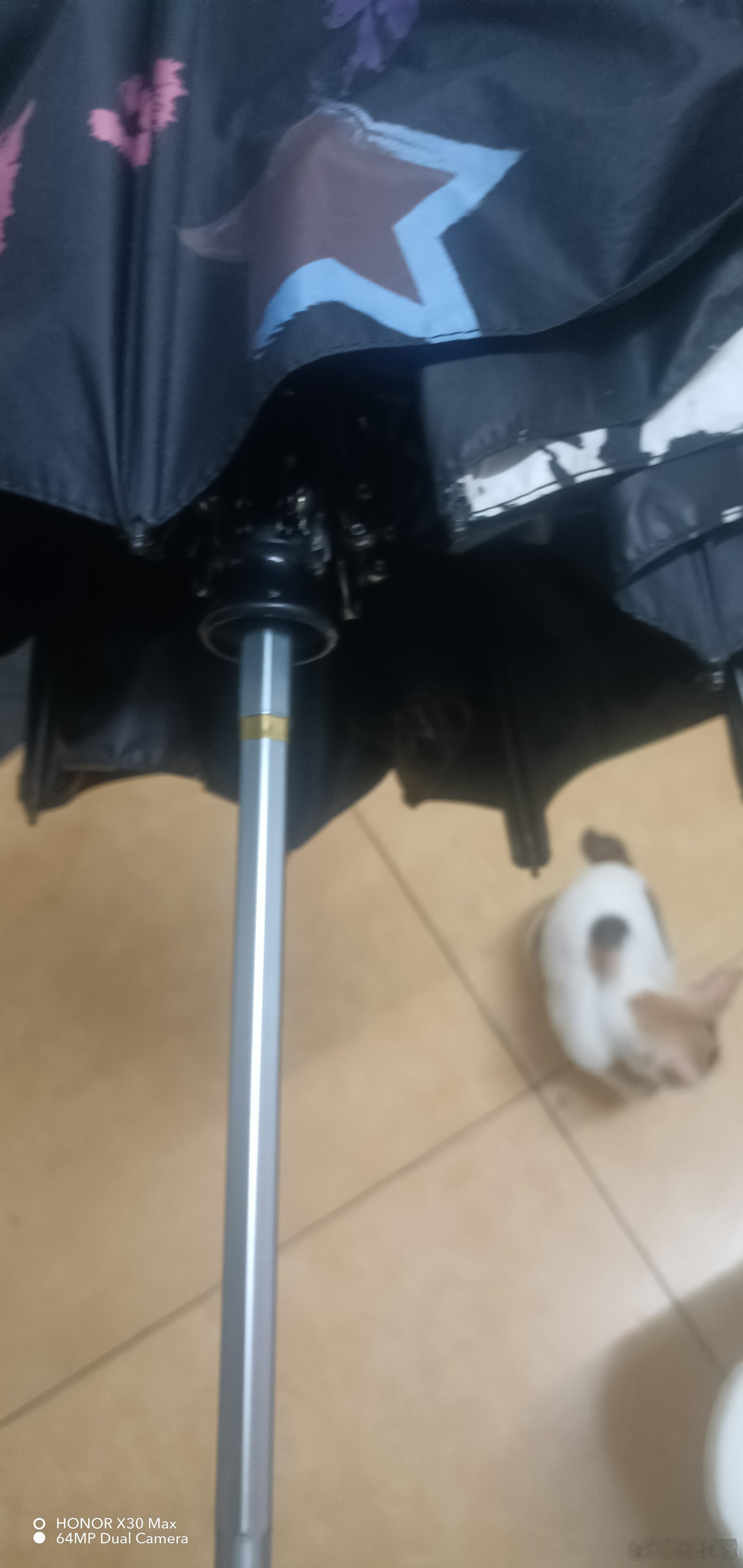 前几天…人生海海BAOBAO防晒伞☔它就这样壮烈牺牲收不回去了，心疼😣BAOB