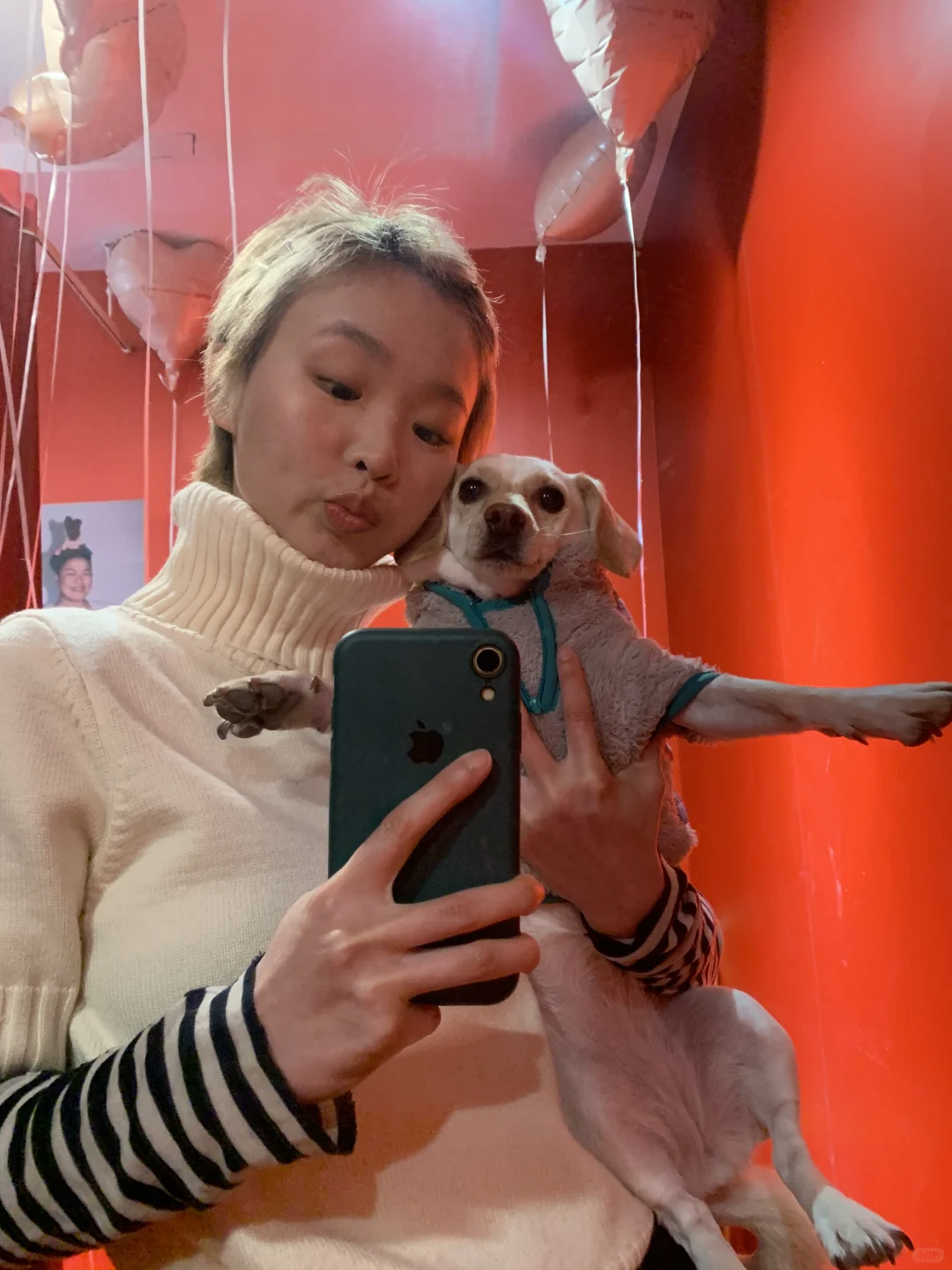 天气这么冷 还好有小狗☺️