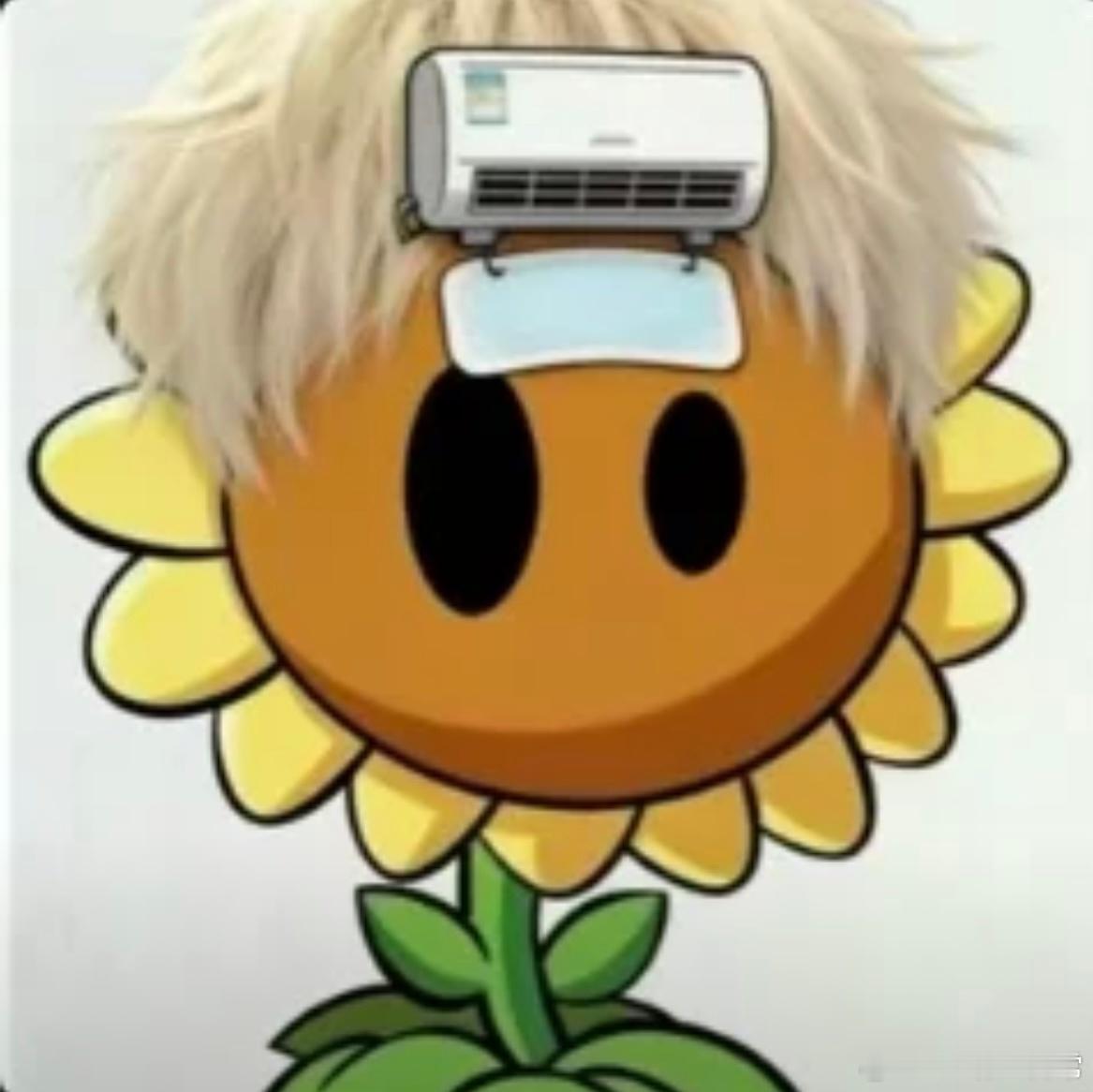 给薛之谦种完太阳，在种头发！薛之谦薛之谦