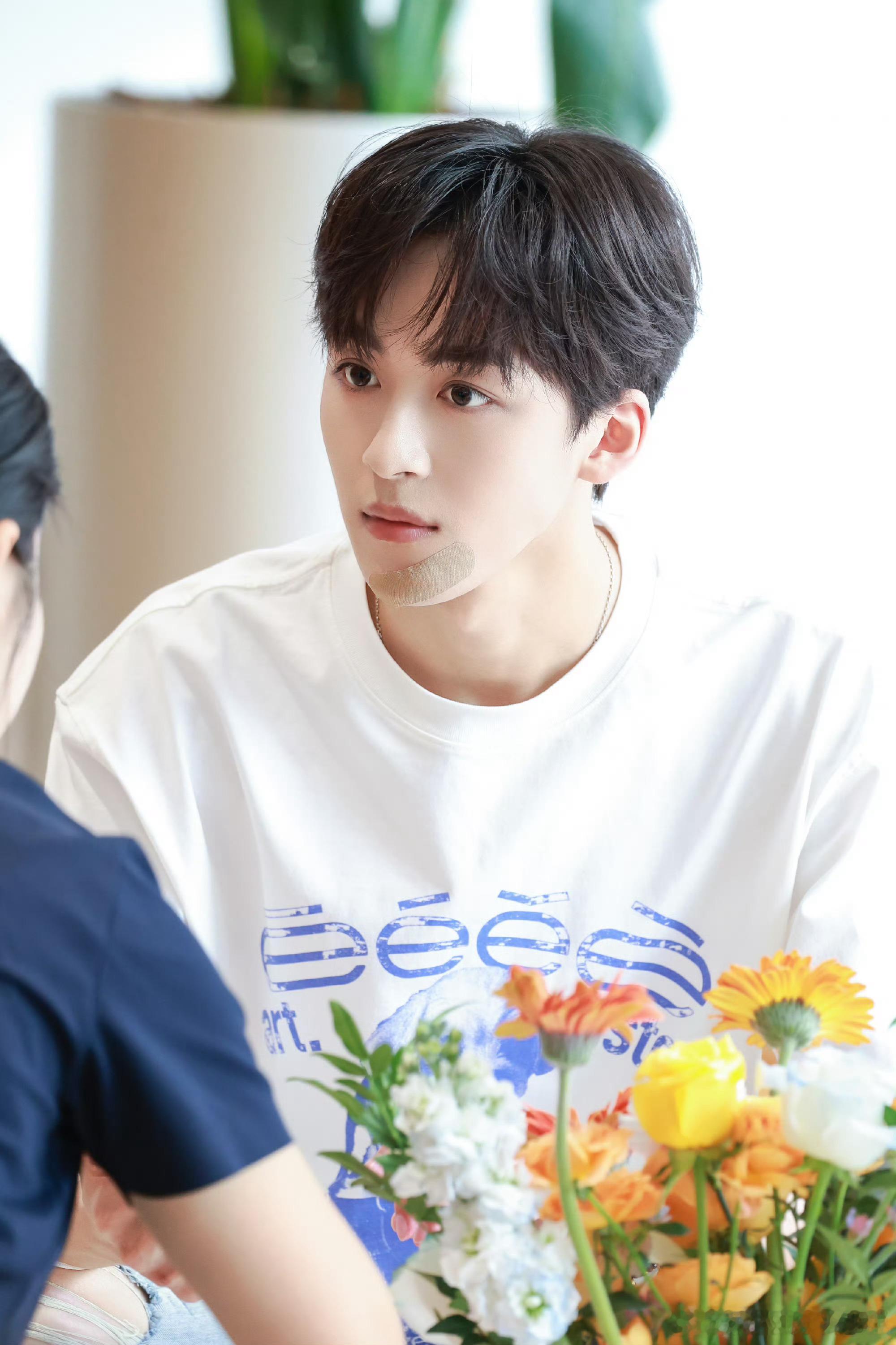 何洛洛清爽白T何洛洛校园男主既视感救命！何洛洛这组路透直接杀疯了！白T+黑框眼镜