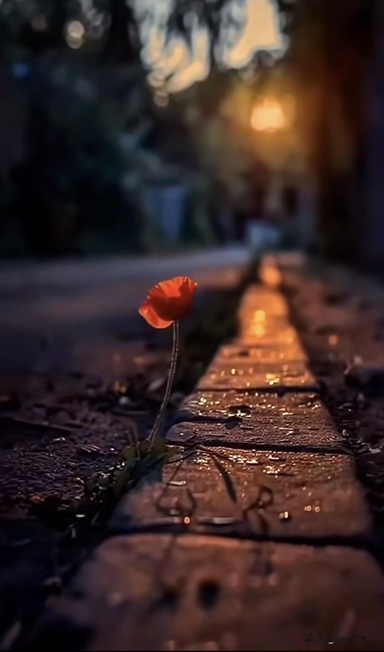 修行，不是一般人能承受的。

要不是带着特殊使命的人，根本没人愿意修行。

身上