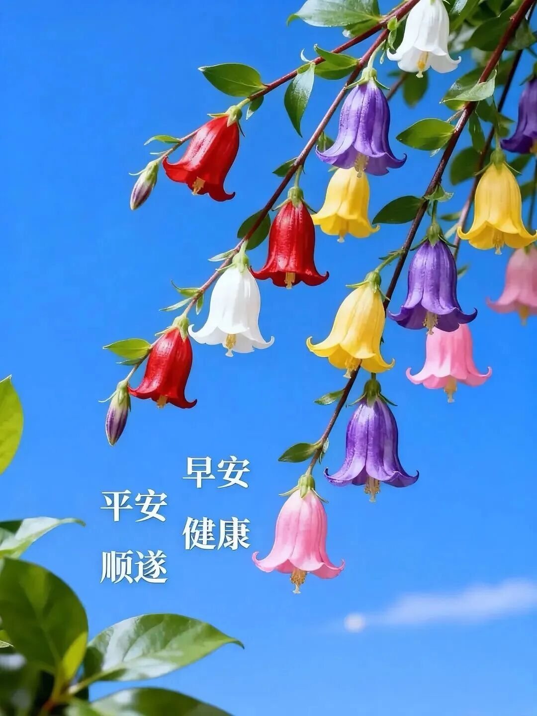 生活手记亲们！！早上好呀 